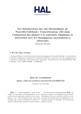 Les Rhizobactéries Des Sols Ultramafiques De Nouvelle