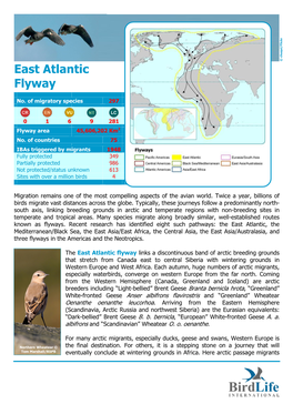 East Atlantic Flyway