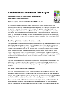 Beneficial Insects in Furrowed Field Margins