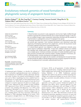 Evolutionary Network Genomics of Wood Formation in a Phylogenetic Survey of Angiosperm Forest Trees