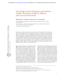 Homologous Recombination and Human Health: the Roles of BRCA1, BRCA2, and Associated Proteins