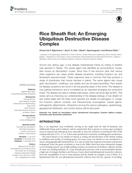 Rice Sheath Rot: an Emerging Ubiquitous Destructive Disease Complex