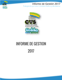 Informe De Gestion 2017