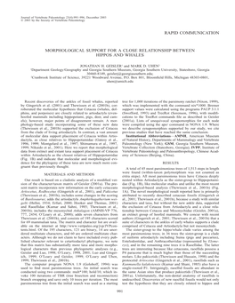 Rapid Communication Morphological Support For