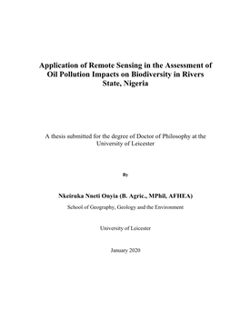 Nk Onyia Phd Thesis