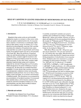 Role of Carnitine in Leucine Oxidation by Mitochondria of Rat Muscle