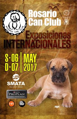 CAT. 1ª: Cachorros - Machos De 6 a 9 Meses • CAT