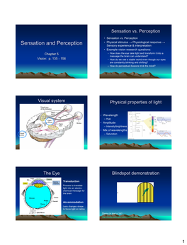 Sensation and Perception