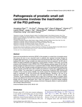 Pathogenesis of Prostatic Small Cell Carcinoma Involves the Inactivation of the P53 Pathway
