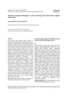 Research Root-Knot Nematode Meloidogyne Arenaria