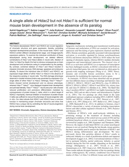 A Single Allele of Hdac2 but Not Hdac1 Is Sufficient for Normal Mouse Brain