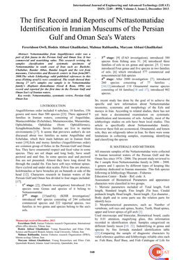 The First Record and Reports of Nettastomatidae Identification in Iranian Museums of the Persian Gulf and Oman Sea's Waters