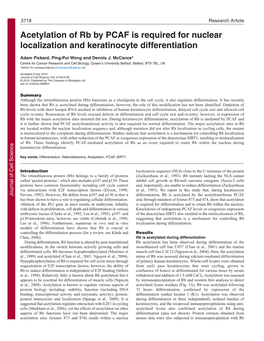 Acetylation of Rb by PCAF Is Required for Nuclear Localization and Keratinocyte Differentiation