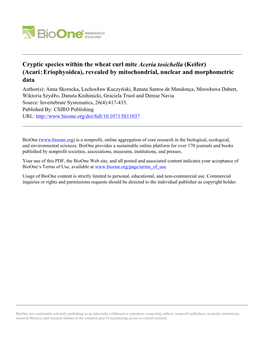 Cryptic Species Within the Wheat Curl Mite Aceria Tosichella (Keifer) (Acari