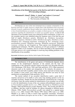 Identification of the Holothurian Species of the Red Sea and Gulf of Aqaba Using DNA Barcoding Technique