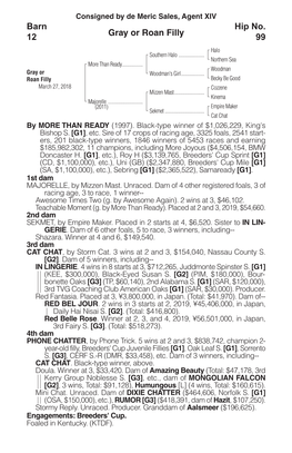 Gray Or Roan Filly Barn 12 Hip No. 99