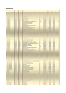 Reporte Proyectos