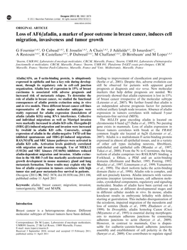 Loss of AF6/Afadin, a Marker of Poor Outcome in Breast Cancer, Induces Cell Migration, Invasiveness and Tumor Growth