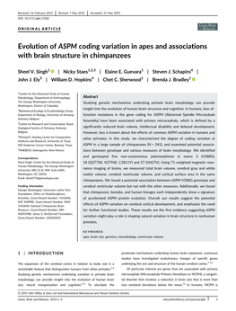 Evolution of ASPM Coding Variation in Apes and Associations with Brain Structure in Chimpanzees