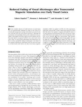 Reduced Fading of Visual Afterimages After Transcranial Magnetic Stimulation Over Early Visual Cortex