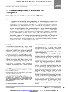 Akt Sumoylation Regulates Cell Proliferation and Tumorigenesis