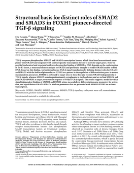 Structural Basis for Distinct Roles of SMAD2 and SMAD3 in FOXH1 Pioneer-Directed TGF-Β Signaling