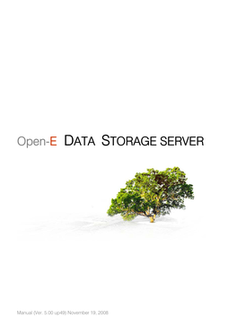 Open-E DATA STORAGE SERVER