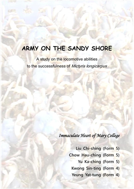 Army on the Sandy Shore