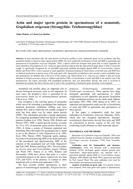 Actin and Major Sperm Protein in Spermatozoa of a Nematode, Graphidium Strigosum (Strongylida: Trichostrongylidae)