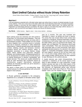 Giant Urethral Calculus Without Acute Urinary Retention