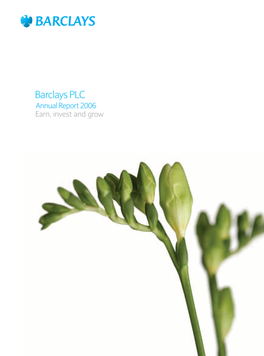 2006 Barclays PLC Annual Report
