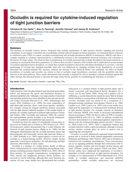 Occludin Is Required for Cytokine-Induced Regulation of Tight Junction Barriers