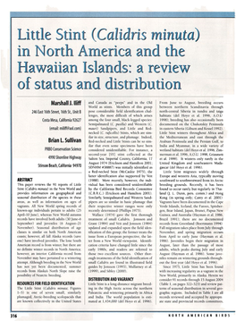 Little Stint (<I>Calidris Minuta</I>) in North America and the Hawaiian