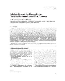 Subplate Zone of the Human Brain: Historical Perspective and New Concepts