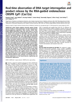 Real-Time Observation of DNA Target Interrogation and Product Release by the RNA-Guided Endonuclease CRISPR Cpf1 (Cas12a)