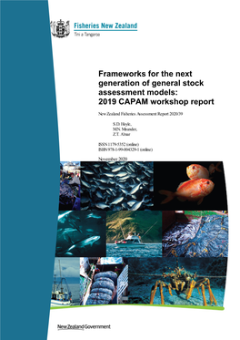 Next Generation Stock Assessment Models Workshop Report