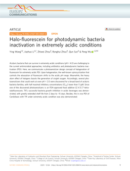 Halo-Fluorescein for Photodynamic Bacteria Inactivation in Extremely