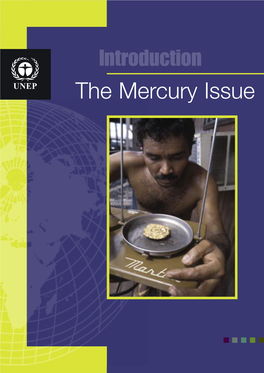 Introduction the Mercury Issue UNEP Promotes Environmentaly Sound Practices Globally and Its Own Activities