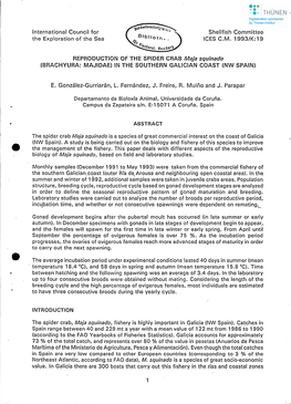 REPRODUCTION of the SPIDER CRAB Maja Squinado (BRACHYURA: MAJIDAE) in the SOUTHERN GALICIAN COAST (NW SPAIN)