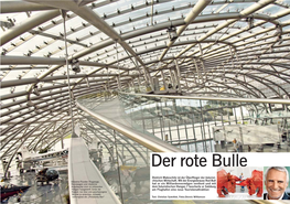Der Rote Bulle