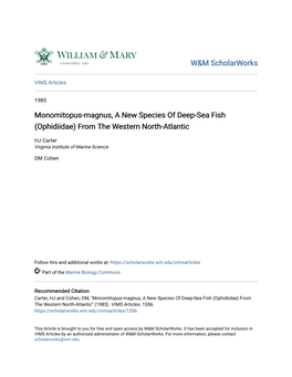 Monomitopus-Magnus, a New Species of Deep-Sea Fish (Ophidiidae) from the Western North-Atlantic