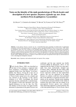 Notes on the Identity of the Male Paralectotype of Thecla Heodes and Description of a New Species: Strymon Cryptodes Sp