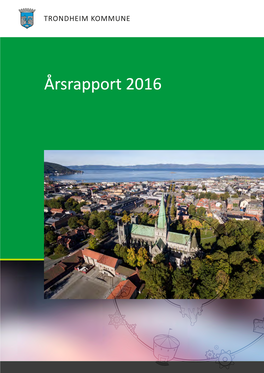 Årsrapport 2016 Bystyret/Formannskapet