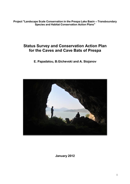 Status Survey and Conservation Action Plan for the Caves and Cave Bats of Prespa