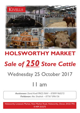 Sale of 250 Store Cattle