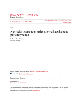 Molecular Interactions of the Intermediate Filament Protein Synemin Robert Milton Bellin Iowa State University