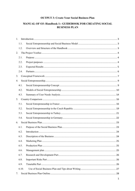 OUTPUT 3: Create Your Social Business Plan MANUAL of O3