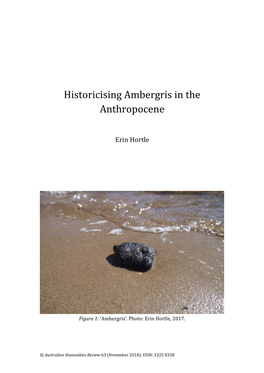 Historicising Ambergris in the Anthropocene