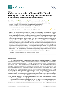 Collective Locomotion of Human Cells, Wound Healing and Their Control by Extracts and Isolated Compounds from Marine Invertebrates