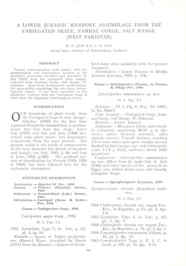 A Lower Jurassic Miospore Assemblage from the Variegated Shale, Nammal Gorge, Salt Range (West Pakistan)